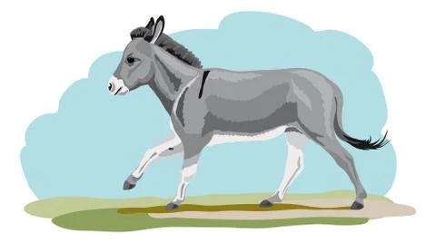 Galloping donkey Stock Illustration