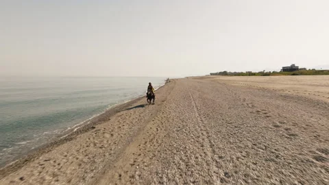Galloping at full speed by the ocean Stock Footage 278407710