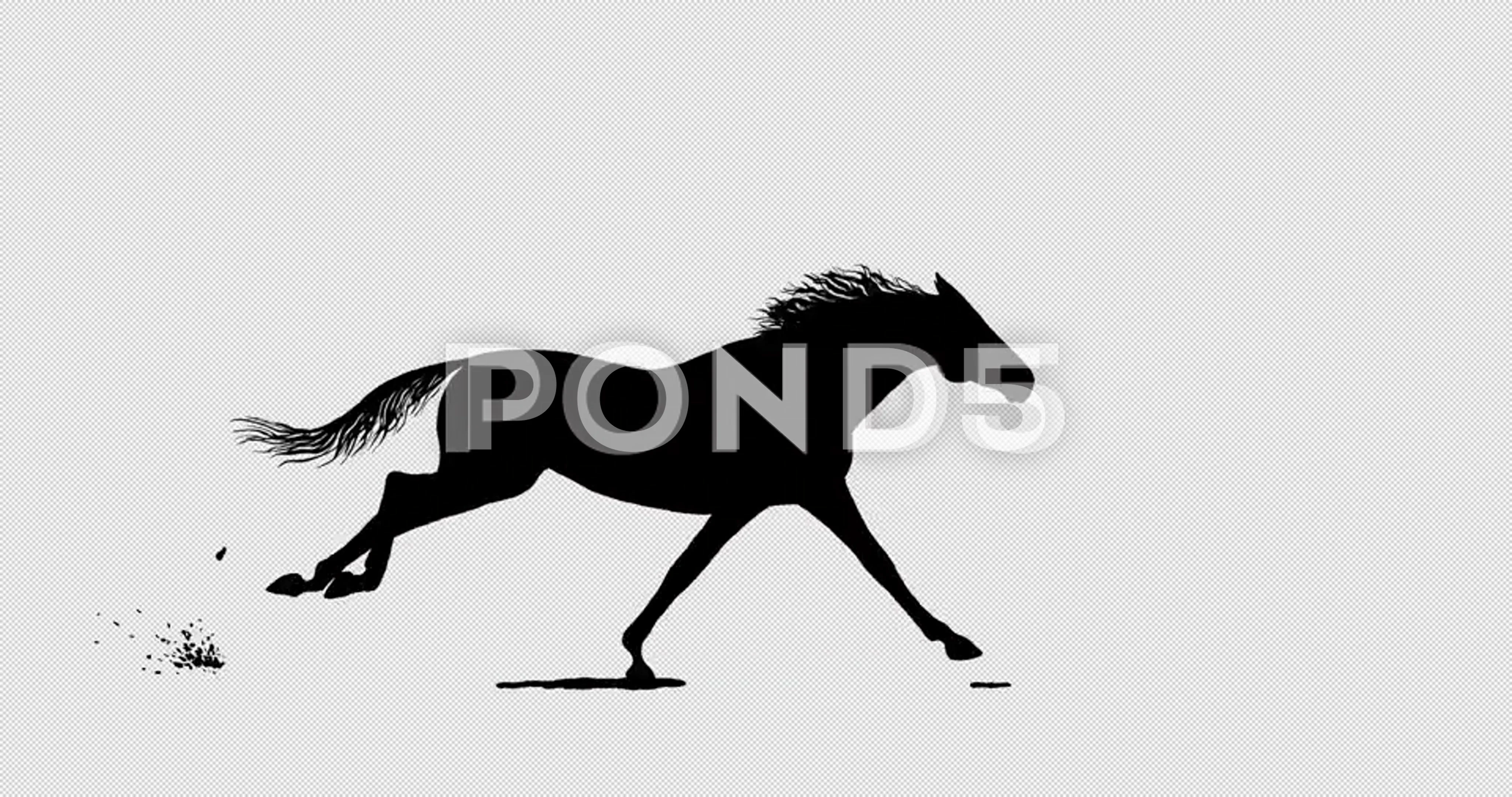 Galloping horse. Animated hand drawn bla... | Stock Video | Pond5
