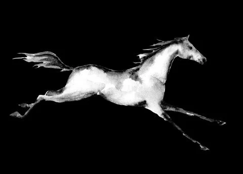 Galloping horse on black background. Black and white color hand painted art. Stock Illustration