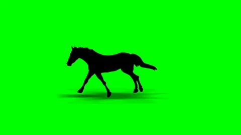 GALLOPING HORSE 動画素材 10751165
