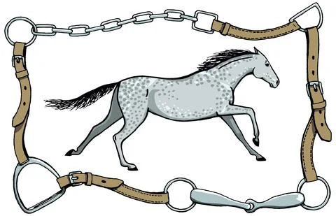 Galloping horse or dapple grey color mustang in bridle leather belt frame. Stock Illustration