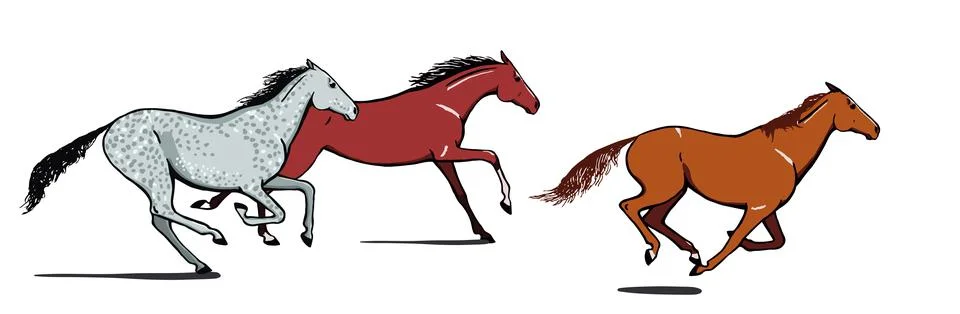 Galloping horse or pony group. Running or stampeding herd of wild mustang set. Stock Illustration