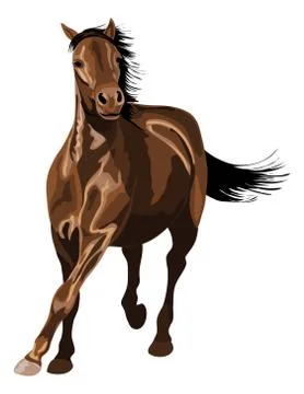 Galloping horse in sunshine Stock Illustration