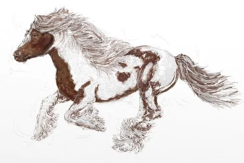 Galloping horse with thick mane Stock Illustration