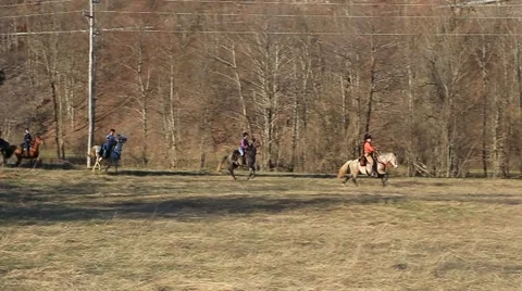 Galloping horses Stock Footage 55222888