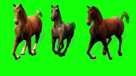 Galloping Horses Green Screen Shadow and ALPHA Stock Footage 42722107
