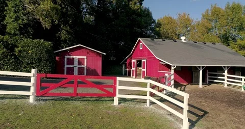 Galloping Horses at a Red Barn and Horse Stable on a Beautiful Country Farm Stock Footage 124484022