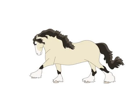 Galloping Tinker stallion isolated on white background, vector illustration Stock Illustration