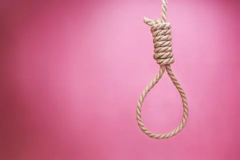 Gallows on pink background Stock Photos