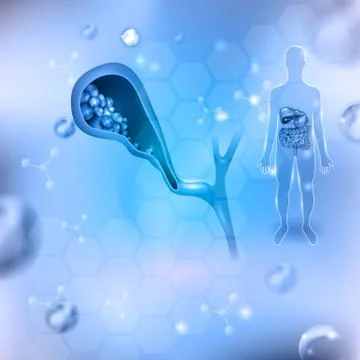 Gallstones Stock Illustration