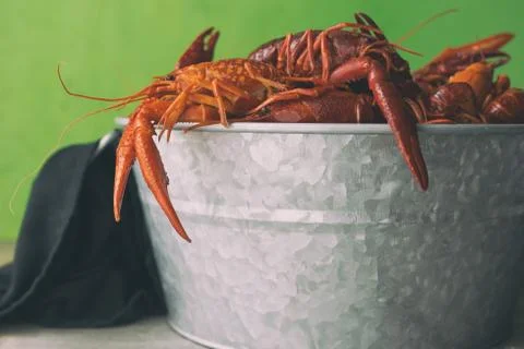 Galvanized bucket filled with boiled crawfish against a green background. Stock Photos