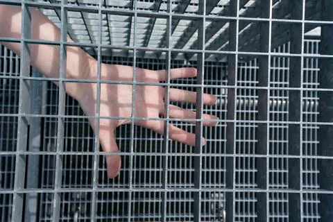 Galvanized grating. Stock Photos