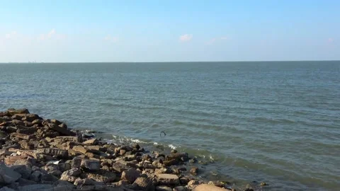 Galveston, Texas Video stock 138313367