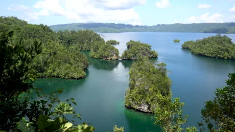 Gam Bay Turquoise Lagoon and Karst Islands in Raja Ampat, Indonesia Vídeo Stock 331648147