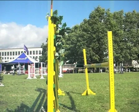 Gambade I Stock Footage 84973