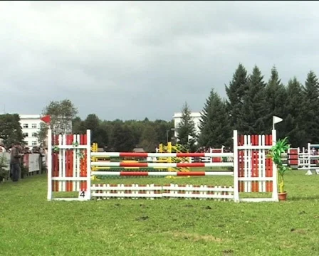 Gambade III Video stock 84970