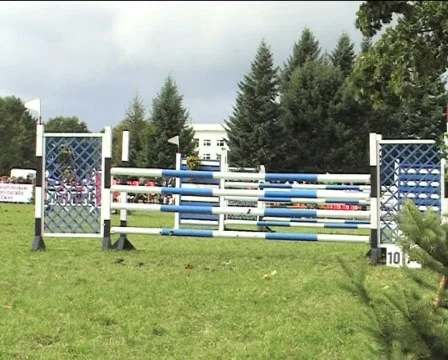 Gambade IV Video stock 84921