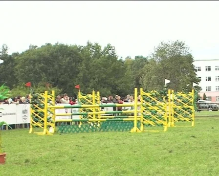 Gambade V Stock Footage 84966