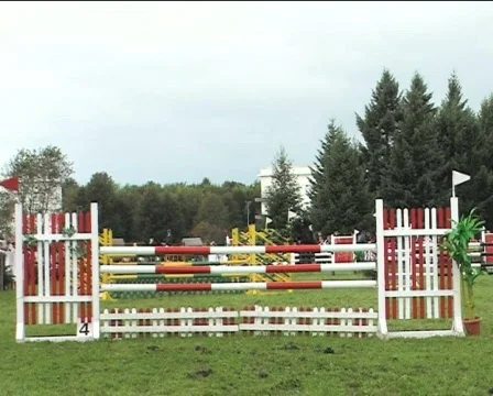 Gambade VI Stock Footage 84968