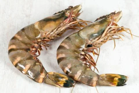 Gambas Stock Photos