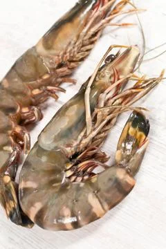 Gambas Stock Photos