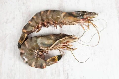 Gambas Stock Photos