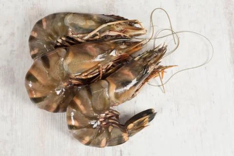 Gambas Stock Photos
