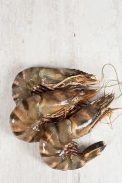 Gambas Stock Photos