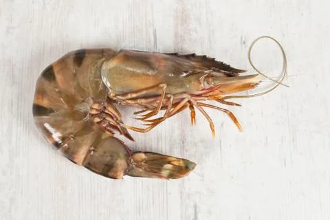 Gambas Stock Photos