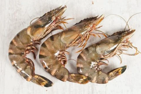 Gambas Stock Photos