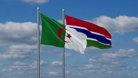 Gambia and Algeria flags Stock Footage 281234361