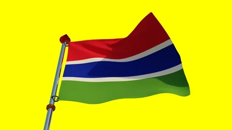 Gambia Flag in 3D Stock Footage 157849527
