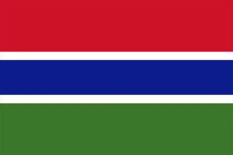 Gambia flag flat vector illustration Illustrazione stock