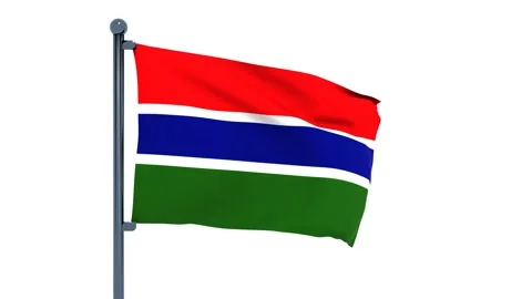 Gambia Flag Stock Footage 150197539