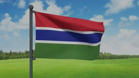 Gambia Flag Stock Footage 152708984