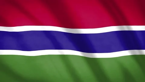 Gambia Flag Stock Footage 188190293
