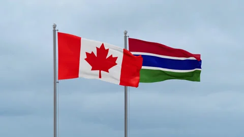 Gambia flag Video stock 252023707
