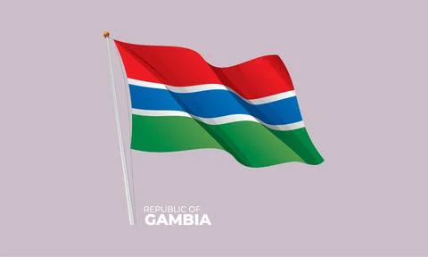 Gambia flag Stock Illustration