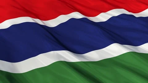 Gambia flag Seamless Video stock 49086658