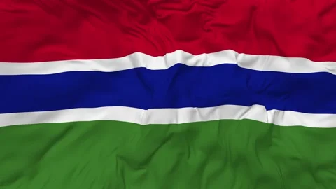 The Gambia Flag Seamless Looping Background Waving Slow Motion Stock Footage 234310690