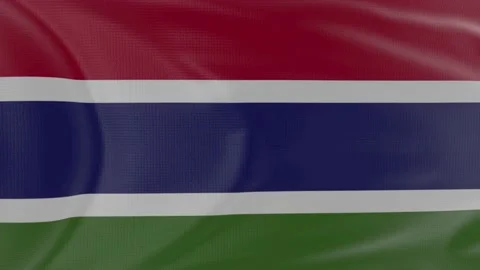 Gambia flag in slow motion animation waving in the wind realistic 動画素材 142987203