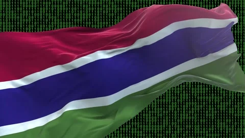 Gambia flag - Waving flag on matrix binary code background Stock Footage 321421173
