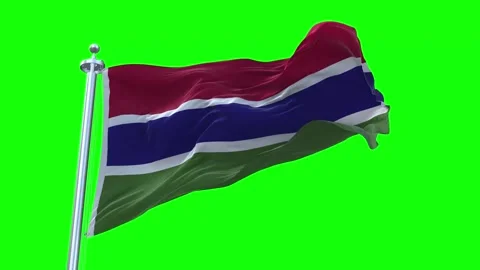 Gambia Flag Waving in Loopable and Textured green screen background Stock Footage 296876676