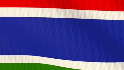 Gambia flag waving white background loop Видео 342959959