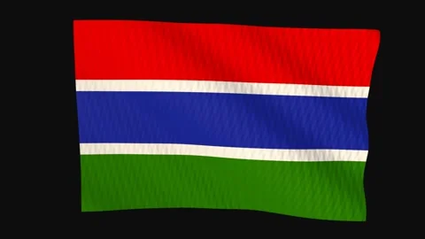 Gambia flag waving in the wind on a black background Vídeo Stock 343209461