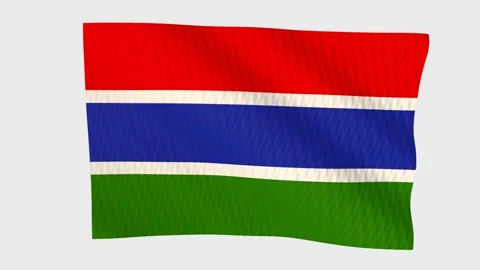 Gambia flag waving in the wind on a grey background 스톡 동영상 343217264