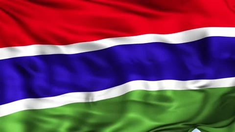 The Gambia Waving Flag Background Stock Footage 204136586