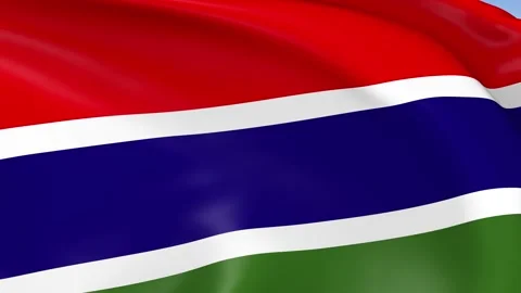 The Gambia Waving Flag Background Loop Stock Footage 317844695