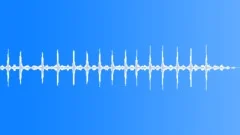 Gambian epauletted fruit bat calling Sound Effect